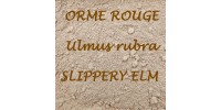 TISANE BIO ORME ROUGE (Écorce /Poudre) / Ulmus rubra